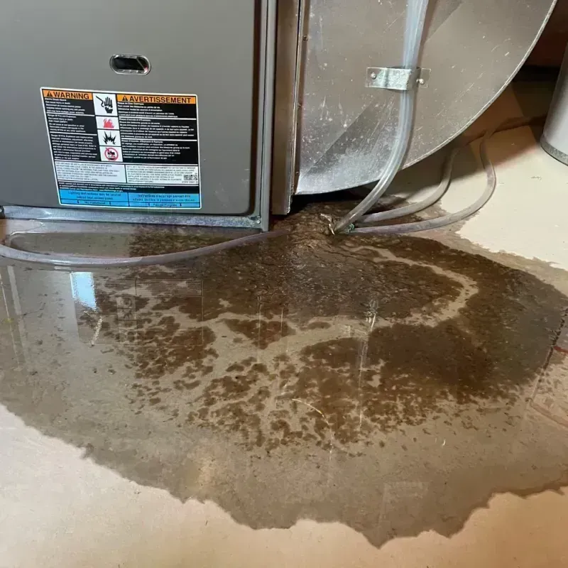 Appliance Leak Cleanup in Soap Lake, WA